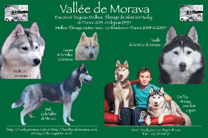 De la vallee de morava - dans les starting blocks pour 2014 !!