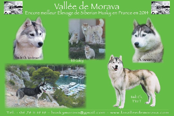 De la vallee de morava - Best of the Best 2014 !